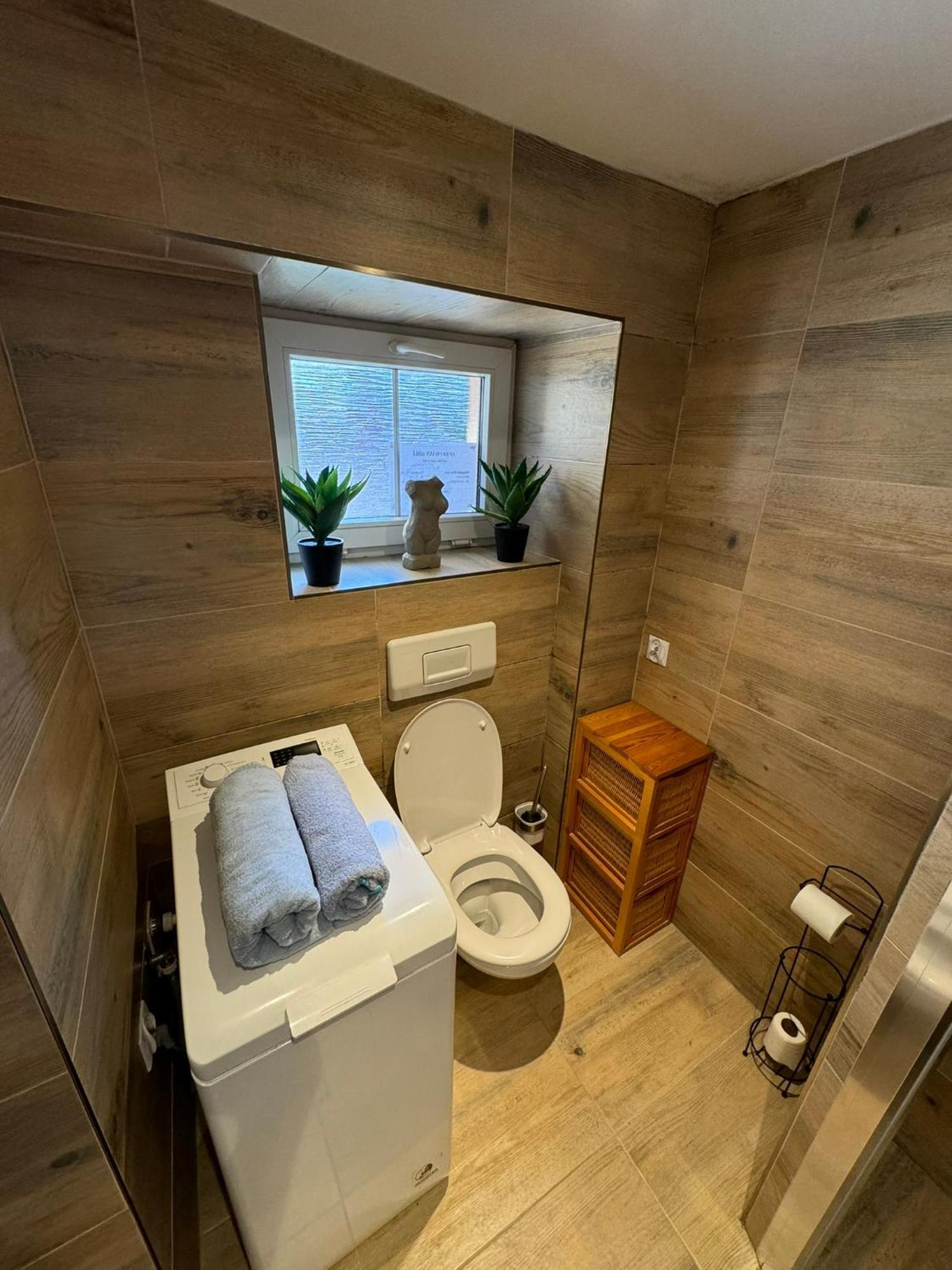 ליברץ Apartman V Srdci Liberce מראה חיצוני תמונה